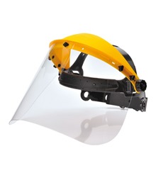 Browguard with Clear Visor