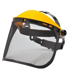 Browguard with Mesh Visor