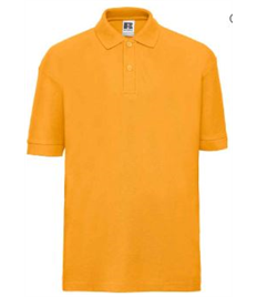 Lamphey Polo Gold Junior